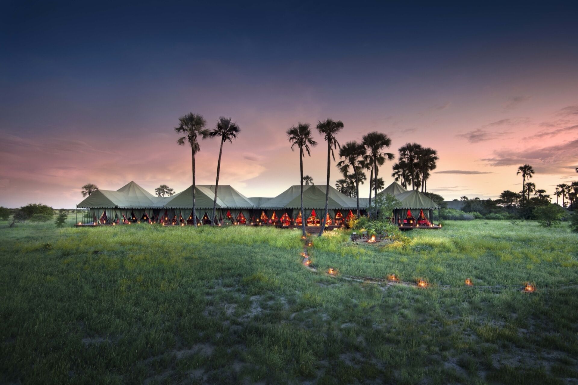A row of green canvas tents lit from within at dusk, with lanterns marking a path through the grass and palm trees against a pink sky